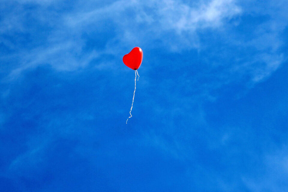 Goodbye My Love